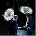 Bayer Stalient 2 nòng - logo (42).png